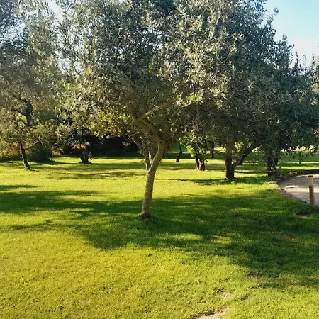 Dom wakacyjny Relax Immersi Gli Ulivi *
