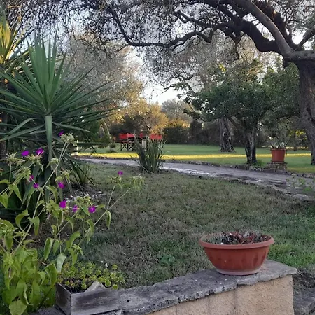 Relax Immersi Gli Ulivi Dom wakacyjny *